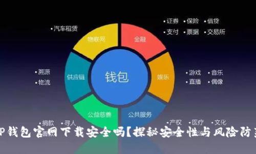 TP钱包官网下载安全吗?探秘安全性与风险防范