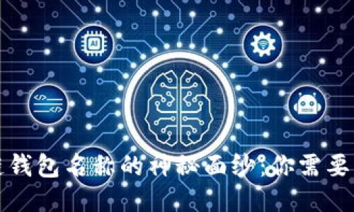 揭开区块链钱包名称的神秘面纱:你需要知道的一切