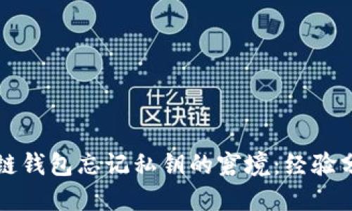 如何应对区块链钱包忘记私钥的窘境:经验分享与解决方法