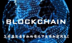 怎样在没有手机的情况下使用加密钱包？