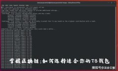 掌握区块链：如何选择适合你的TB钱包