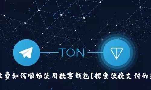 高速收费如何顺畅使用数字钱包?探索便捷支付的新选择