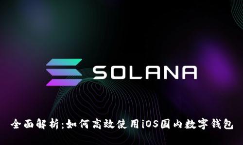全面解析：如何高效使用iOS国内数字钱包