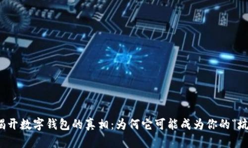揭开数字钱包的真相：为何它可能成为你的“坑”