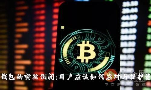 TP钱包的突然倒闭:用户应该如何应对与保护资产