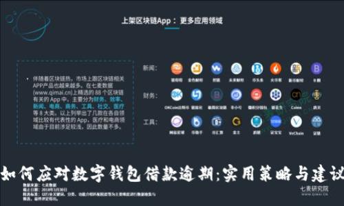 如何应对数字钱包借款逾期:实用策略与建议