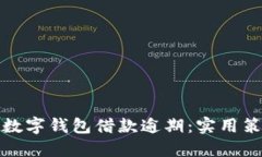 如何应对数字钱包借款逾期：实用策略与建议