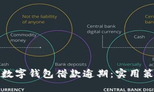 如何应对数字钱包借款逾期:实用策略与建议
