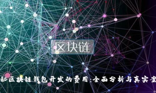 揭秘区块链钱包开发的费用:全面分析与真实案例