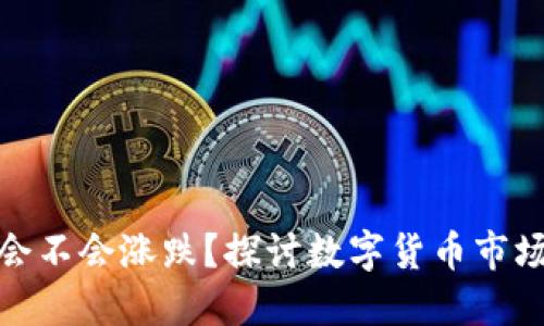TP钱包里的币会不会涨跌?探讨数字货币市场的风险与机会