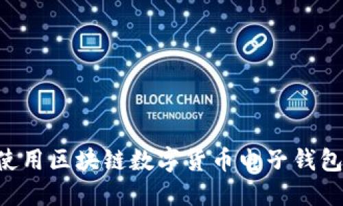 如何高效使用区块链数字货币电子钱包:全面指南