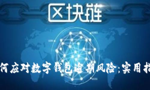 如何应对数字钱包逾期风险:实用指南