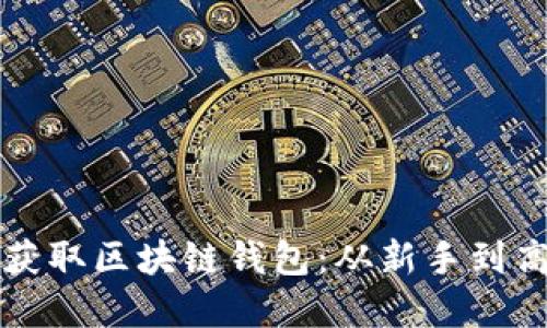 揭秘如何轻松获取区块链钱包:从新手到高手的实用指南