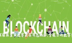 如何轻松查询数字藏品钱包地址，掌握你的数字