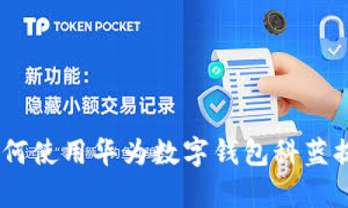 全面解析:如何使用华为数字钱包科蓝提升支付体验