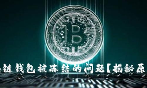 如何应对区块链钱包被冻结的问题?揭秘原因与解决方案