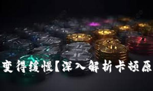 TP钱包为何会变得缓慢?深入解析卡顿原因及解决方案