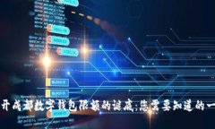 揭开成都数字钱包限额的谜底：您需要知道的一