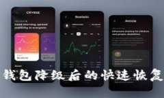 数字钱包降级后的快速恢复方法