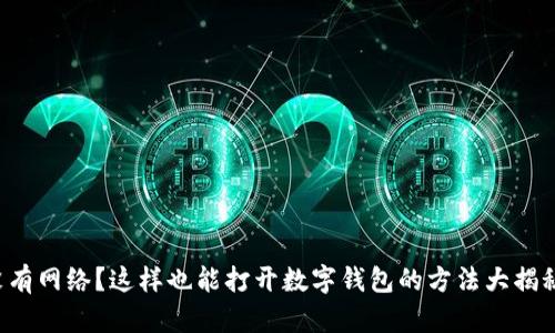 没有网络？这样也能打开数字钱包的方法大揭秘！