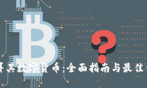 畅享土耳其数字货币：全面指南与最佳钱包推荐