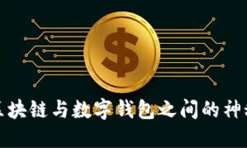 揭开区块链与数字钱包之间的神秘面纱
