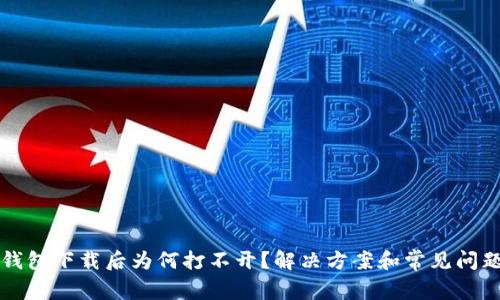 TP冷钱包下载后为何打不开？解决方案和常见问题分析