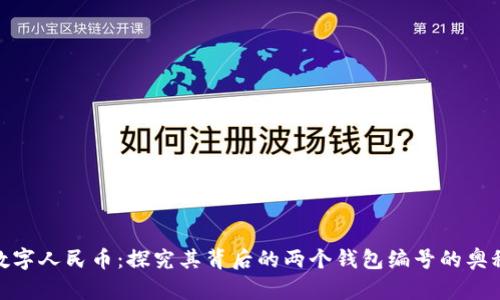 数字人民币：探究其背后的两个钱包编号的奥秘