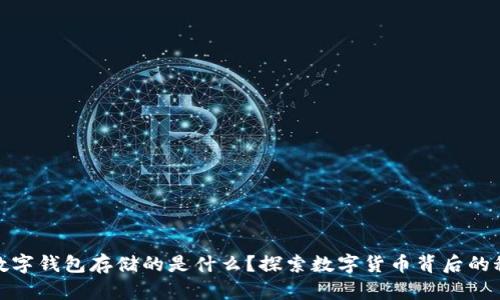 : 数字钱包存储的是什么？探索数字货币背后的秘密