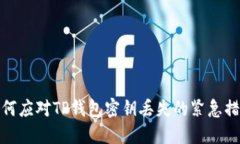 如何应对TP钱包密钥丢失的紧急措施
