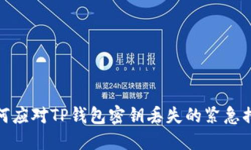 如何应对TP钱包密钥丢失的紧急措施