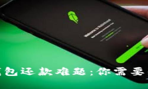破解数字钱包还款难题:你需要知道的一切