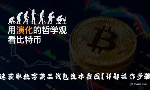 如何快速获取数字藏品钱包流水截图？详解操作步骤与技巧