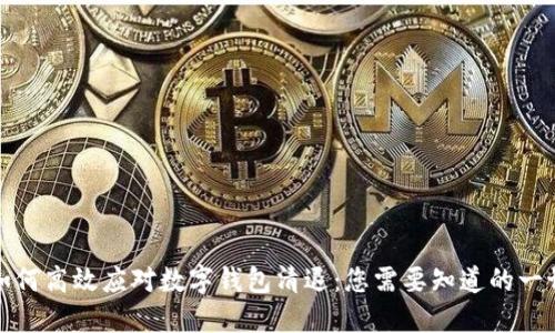 如何高效应对数字钱包清退:您需要知道的一切