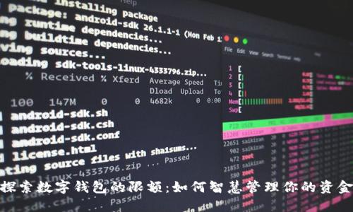 探索数字钱包的限额:如何智慧管理你的资金