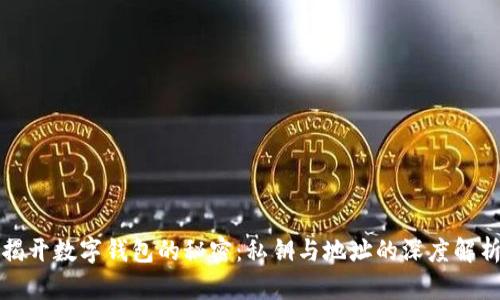 揭开数字钱包的秘密:私钥与地址的深度解析