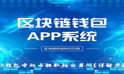 如何快速将TP钱包中的币提取到交易所?详解步骤与注意事项