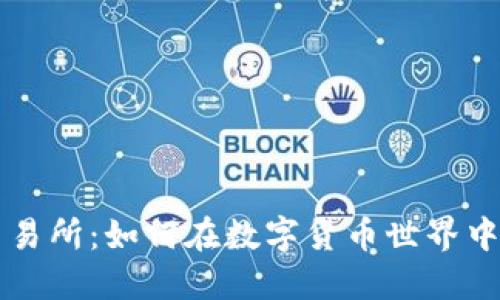 探索TR交易所:如何在数字货币世界中成功交易