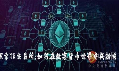 探索TR交易所:如何在数字货币世界中成功交易