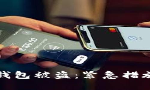 如何应对TP钱包被盗:紧急措施与预防策略