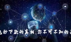 数字钱包秒下款的真相：你不可不知的关键因素