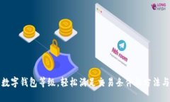提升数字钱包等级，轻松满足交易条件的方法与