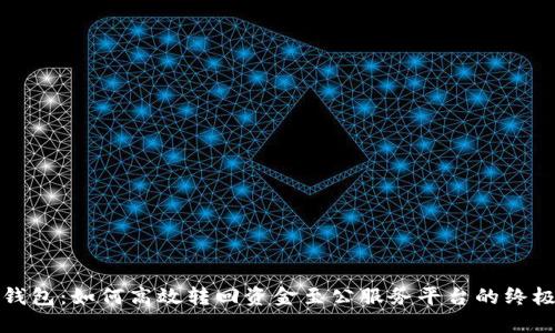 数字钱包:如何高效转回资金至公服务平台的终极指南