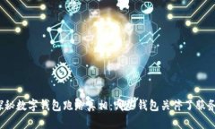 探秘数字钱包跑路真相：哪些钱包关停了服务？