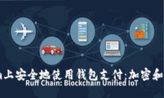 如何在Steam上安全地使用钱包支付：加密和风险防