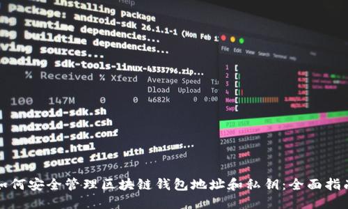 如何安全管理区块链钱包地址和私钥:全面指南
