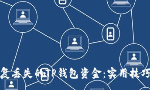 :
如何恢复丢失的TP钱包资金:实用技巧与建议