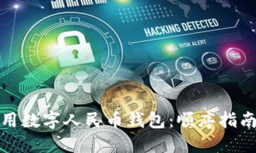 如何高效使用数字人民币钱包：顺序指南与实用技巧