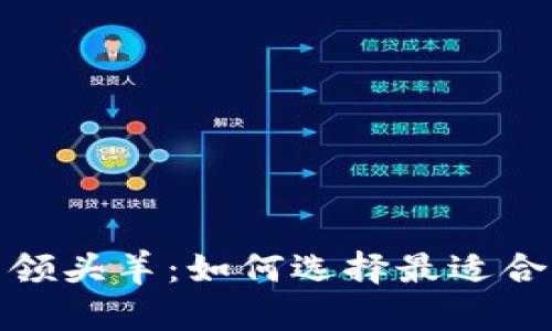 探索区块链钱包领域的领头羊：如何选择最适合你的数字资产管理工具