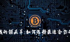 探索区块链钱包领域的领头羊：如何选择最适合